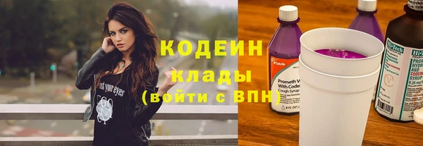 сатива Арсеньев