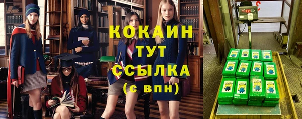 сатива Арсеньев