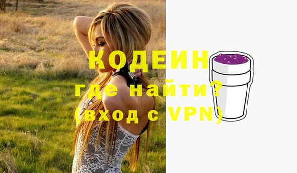 сатива Арсеньев