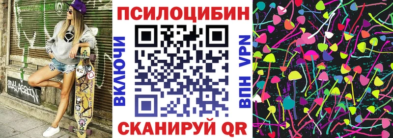 купить  сайты  Темников  Псилоцибиновые грибы Cubensis 